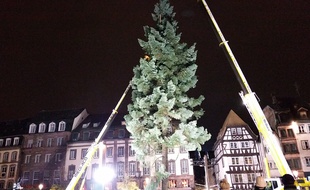 VIDEO. Strasbourg: Le troisième sapin de Noël installé sur la place Kléber de nuit