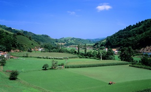 La région Nouvelle Aquitaine, première région agricole, souhaite développer le bio et les circuits courts.