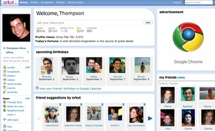 Un profil du réseau social Orkut, de Google.