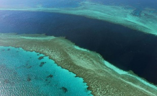 Photographie aérienne de la Grande barrière de corail, au large des Whitsunday Islands, dans l'Etat du Queensland en Australie.