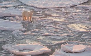 La fonte du permafrost en Arctique libère du gaz hilarant et réchauffant