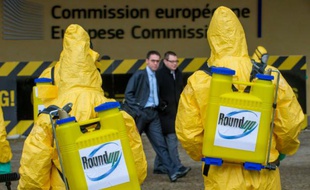 Photographie transmise par Greenpeace le 7 novembre 2012 montrant des militants manifestant ce jour-là devant la Commission européenne à Bruxelles contre l'autorisation du glyphosate