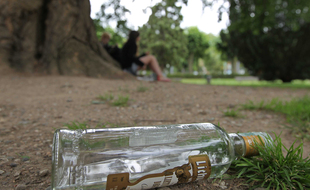 Une bouteille d'alcool dans un parc. Illustration.