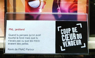 Détournement des coups de coeur de la Fnac à Aulnay-sous-Bois.