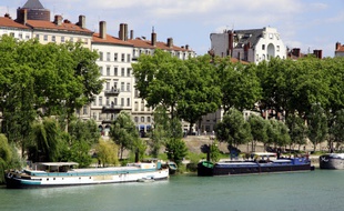 Les berges du Rhône (illustration)