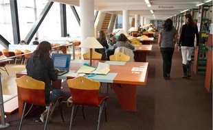 Pour les jeunes diplômés de l'université, les chances de trouver un emploi en fin d'études augmentent.