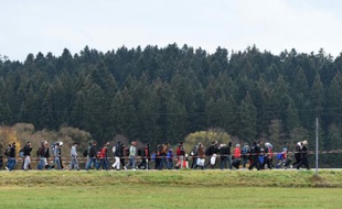Des migrants arrivés d'Autriche marchent sur la route près du village bavarois de Wegscheid, dans le sud de l'Allemagne, le 9 novembre 2015