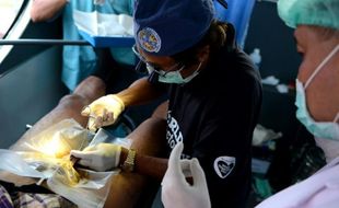 Des médecins pratiquent une vasectomie sur un homme à Bali le 13 novembre 2015