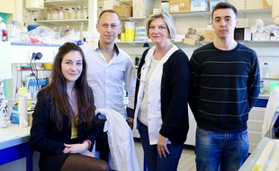 Perrine Royal, Guillaume Sandoz, Brigitte Wdziekonski et Pablo Avalos Prado travaillent sur les causes héréditaires de la migraine.