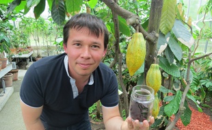 A Nantes, Ivan Schiavon a fabriqué du chocolat grâce à l’arbre du Grand Blottereau.