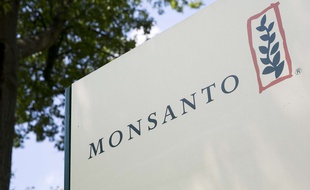 Le siège de Monsanto dans le Missouri, aux Etats-Unis, le 16 août 2015.