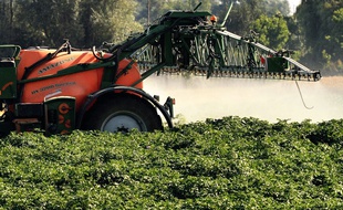 Une machine agricole en train de répandre des pesticides (image d'illustration).