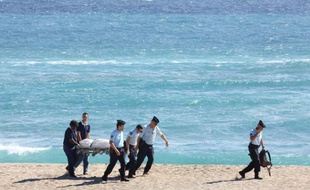 Un touriste métropolitain en voyage de noces à la Réunion a été tué mercredi par un requin alors qu'il pratiquait le surf, première victime du squale depuis le début de l'année sur cette île où l'animal a tué trois personnes en 2012 et 2011.