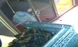 Capture d'écran.