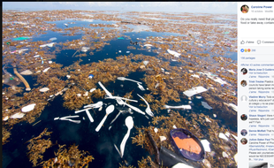 Des îles d'immondices s'étendent sur 2 kilomètres.