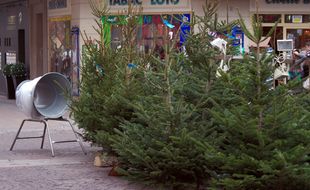 Chaque année la valse des sapins prend forme à chaque coin de rue.