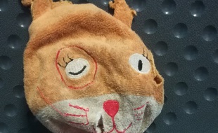 Le doudou retrouvé attend son propriétaire à Nancy !