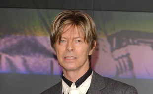L'artiste David Bowie