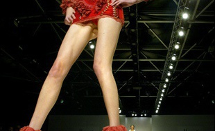 Quelque 48 créateurs ont présenté leur collection automne-hiver 2006/2007 sur les catwalks de Londres cette semaine, dont les valeurs établies Julien MacDonald, Paul Smith et Betty Jackson.