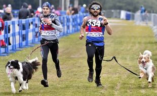 Le canicross et les disciplines voisines ont leur championnat d'Europe, comme ici en 2016 à Nove Mesto en République tchèque.