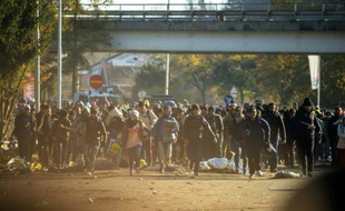 Des migrants courent pour traverser la frontière entre la Slovénie et l'Autriche depuis la ville slovène de Sentilj le 3 novembre 2015
