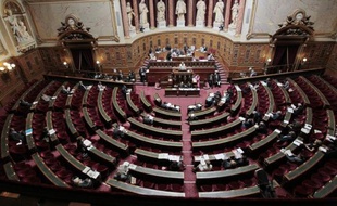 Le Sénat a supprimé vendredi, dans le cadre du projet de loi de finances (PLF) pour 2011, un article introduit en première lecture par les députés qui visait à augmenter les plafonds du dispositif de réduction d'impôt sur le revenu dit "Madelin".