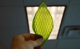 Des scientifiques ont créé une feuille artificielle capable de convertir le CO2 en combustible