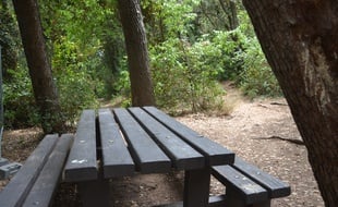 Une table de pique-nique au parc Méric à Montpellier