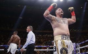 Andy Ruiz lors de son succès sur Anthony Joshua à New York en juin 2019.
