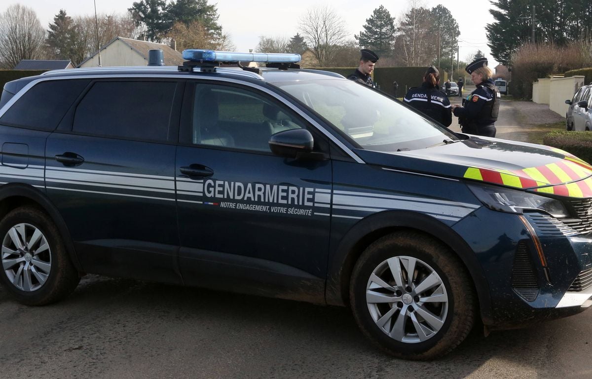 Lydie Logé : La gendarmerie de l'Orne lance un appel à témoins pour tenter de retrouver son corps