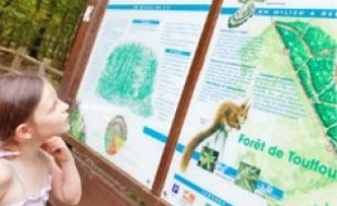 La forêt de Touffou fait partie des vingt-trois sites à découvrir cet été.