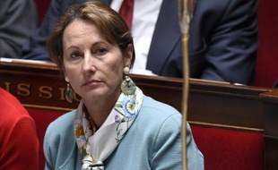 La ministre de l'écologie Ségolène Royal à l'Assemblée nationale le 7 avril 2015