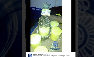 De la cocaïne dans des ananas