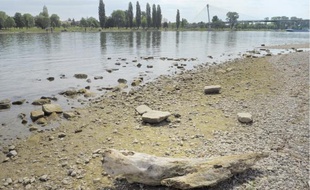 Alors que la saison des hautes eaux devrait battre son plein en avril et mai, le Rhin est inférieur, par endroits, d'un mètre au niveau moyen en cette période.
