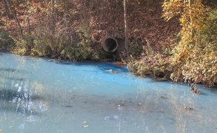Pollution de l'eau du canal du Fossé des remparts. Strasbourg le 27 octobre 2016.