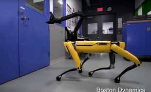 SpotMini, un robot de Boston Dynamics, est capable d'ouvrir une porte.