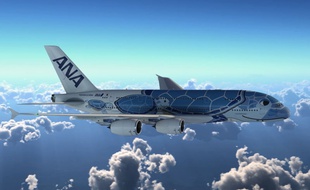 L'A380 de la compagnie All Nipon Airways dont la livrée représente une tortue hawaïenne.