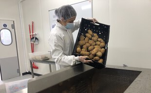 Les fruits et légumes abîmés du marché de gros des Arnavaux, à Marseille, sont désormais cuisinés en soupe ou compote à destination des plus pauvres, au lieu d'être jetés à la poubelle