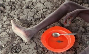Pour nourrir une population croissante dans une planète confrontée au changement climatique, il faut réorienter le système alimentaire mondial, avec une approche socialement équitable, a prévenu mercredi un panel d'experts.