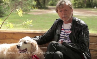 Renaud est le dernier invité de «30 millions d'amis»