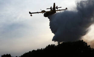 Le feu de forêt qui s'était déclaré à quelques kilomètres de Narbonne a été maîtrisé. (illustration)