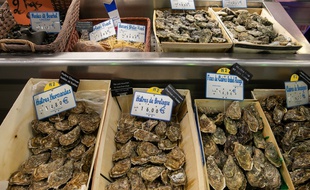 Etal d’huîtres sur un marché parisien, le 19 décembre 2019.