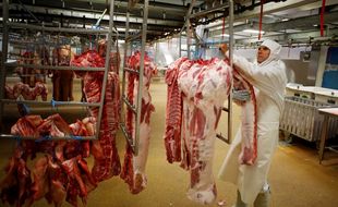 Un abattoir, ici en Bretagne. (illustration)