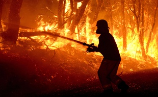 Des pompiers tentent de maîtriser un feu virulen en Australie Méridionale, le 2 janvier 2015.