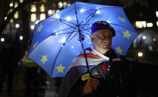 Un supporter anti-Brexit à Londres, le 14 janvier 2019.