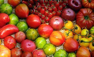 Les fruits et légumes européens doivent respecter les limites européennes de résidus de pesticides.