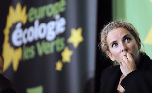 Douze ONG environnementales ont demandé lundi à la ministre de l'Ecologie, Delphine Batho, de clarifier les modalités du débat sur la transition énergétique qui doit s'ouvrir en novembre, menaçant de "se désolidariser" du processus si elles n'étaient pas suffisamment associées.