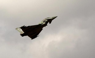 Les Emirats Arabes Unis n'ont pas choisi l'avion de combat européen Eurofighter, concurrent du Rafale du français Dassault Aviation, pour leur armée de l'air, a annoncé jeudi le groupe de défense britannique BAE Systems.