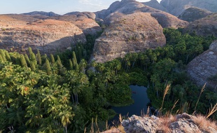 Avec son lac et ses palmiers, le canyon Andakatomenavava est un écosystème emblématique du Makay.