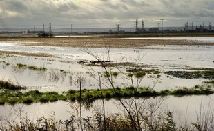 Des terrains inondés près de Calais, après les fortes pluies qui se sont abattues sur la région (samedi 3 novembre 2012)
